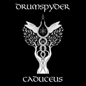 Download track Caduceus Drumspyder