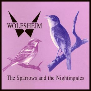 Download track The Sparrows And The Nightingales Wolfsheim