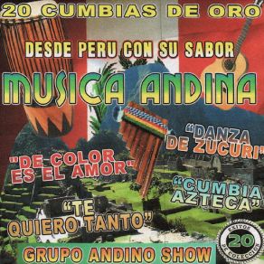 Download track Linda Grupo Andino Show