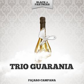 Download track Algarroba Algarrobal Trio Guarania