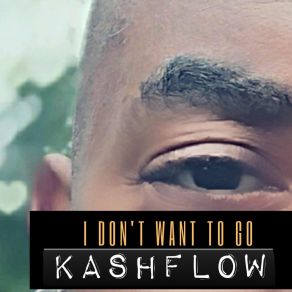 Download track I Dont Wanna Go 90s Club Rnb Remix Kashflow