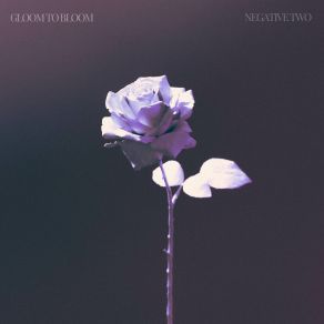 Download track Gloom To Bloom Negative Two