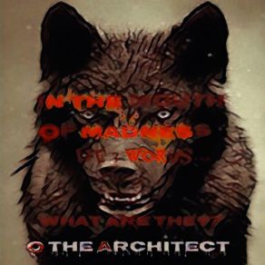 Download track What You Gonna Do? O The Architect