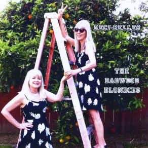 Download track Wonderful California The Dagwood Blondies