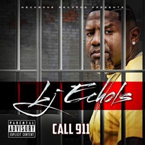 Download track Call 911 LJ Echols