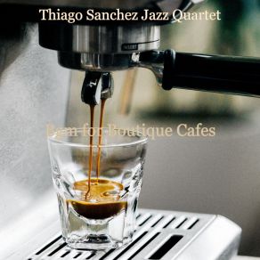 Download track Piano And Alto Sax Jazz - Vibes For Summertime Thiago Sanchez Jazz Quartet