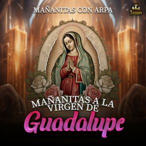 Download track Mañanitas Guadalupanas Mañanitas A La Virgen De Guadalupe