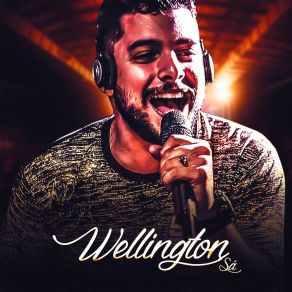 Download track Tempo De Aprender - Não Foi A Toa Wellington Sá