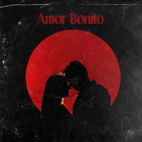 Download track Amor Bonito Gualberto Ibarreto