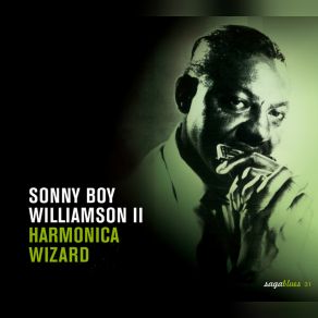 Download track Do It If You Wanta Sonny Boy Williamson