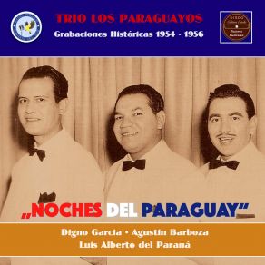 Download track Mi Dicha Lejana (Sung In Guarni) Luis Alberto Del Paraná