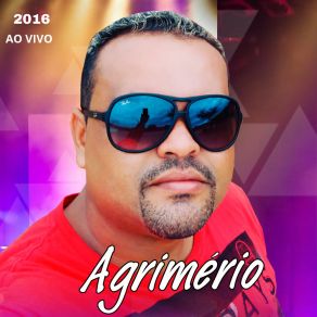 Download track Pisa No Piseiro (Ao Vivo) Agrimerio