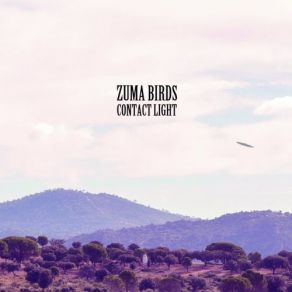 Download track Drifter Zuma Birds