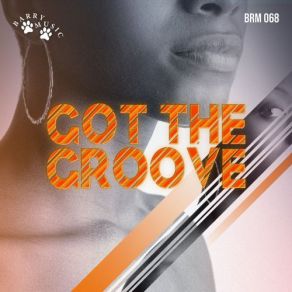 Download track Got The Groove Vito Lalinga