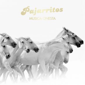 Download track Unstoppable Pajarritos