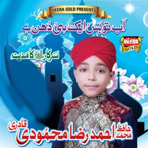 Download track Zarre Jhar Kar Teri Ahmed Raza Mehmoodi Qadri