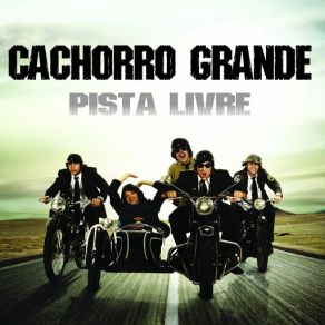 Download track Velha Amiga Cachorro Grande