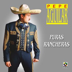 Download track Albur De Amor Pepe Aguilar