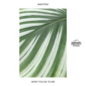 Download track What You Do To Me (Original Mix) ManyFew