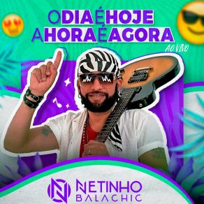 Download track Zona De Perigo Netinho Balachic