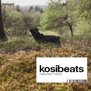 Download track Hinode Kosibeats