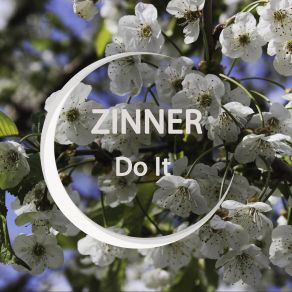 Download track Do It (Extended Mix) Zinner