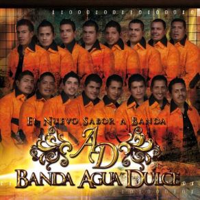 Download track Que Sera De Ti Banda Agua Dulce