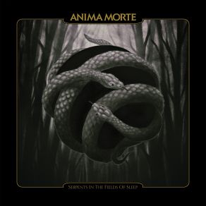 Download track Colors Of Incrimination Anima Morte