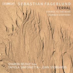 Download track Fagerlund: Terral (Flute Concerto): II. Energico E Brillante John Storgards, Tapiola Sinfonietta