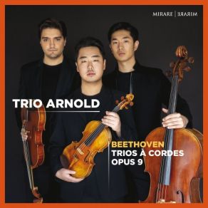 Download track String Trio In D Major, Op. 9 No. 2: IV. Rondo. Allegro (D Major) Trio Arnold