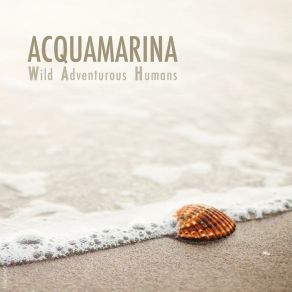 Download track Acquamarina (Acoustic Remix) W. A. H