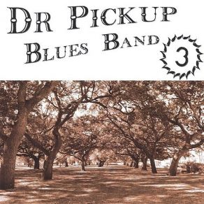 Download track The G. M. Blues Dr Pickup Blues Band