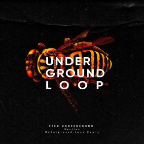 Download track Section (Underground Loop Dub Remix) Serg UndergroundUnderground Loop