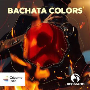 Download track Vuelve Pacho BuscadoroVillalba, Will Drêina, Bertiel