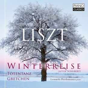 Download track Winterreise, 12 Lieder Von Franz Schubert S. 561 V. Erstarrung Leonardo Pierdomenico