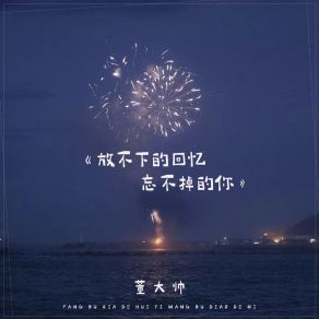 Download track 放不下的回忆忘不掉的你 董大帅