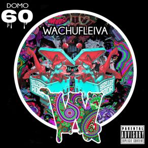 Download track Wachufleiva 60-2 (Original Mix) Domo