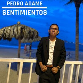 Download track Todo Te Trajo Aquí Pedro Adame