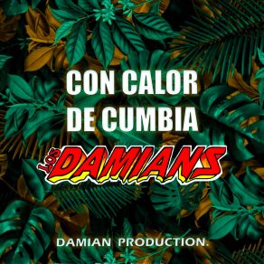 Download track Cosa De Locos Los Damians