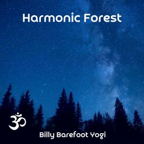 Download track Sweet Summer Rain Billy Barefoot Yogi