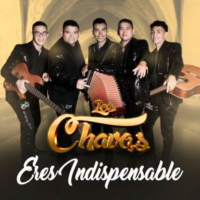 Download track Por Que Te Fuiste Asi Los Chavos