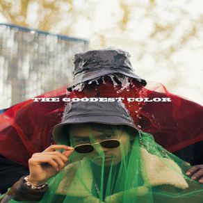 Download track Somebody Likes Me The Goodest Color