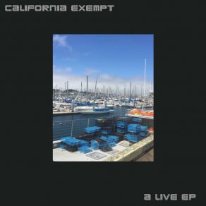 Download track Blue Mirror (Live) California Exempt