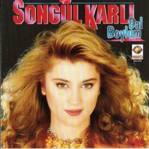 Download track Kül Olup Aşkın Narına Songül Karlı