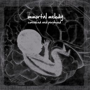 Download track Wrong Dream Immortal Melody