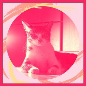 Download track Happening Backdrops For Cozy Kittens For Cats Only