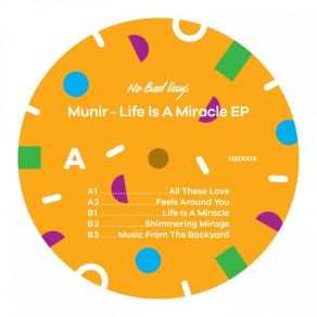 Download track Shimmering Mirage Munir