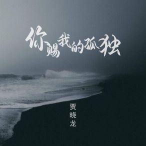 Download track 你赐我的孤独 (伴奏) 贾晓龙