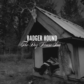 Download track Wasted Nights Badger Hound