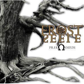 Download track Diagnose FrostSeele